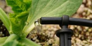 Sistemas-de-riego-SoriSoler-Benetusser